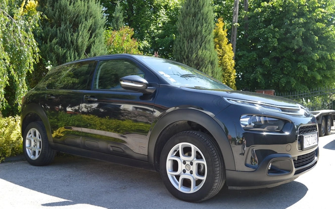 Citroen C4 Cactus cena 49700 przebieg: 83600, rok produkcji 2018 z Biskupiec małe 67